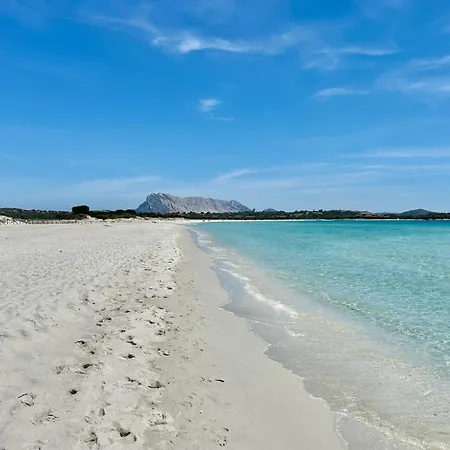 Lejlighed Iss Travel, Casa Smeraldo 10 Beds, Wonderful View Of The Gulf Of San Teodoro (Sardinia)